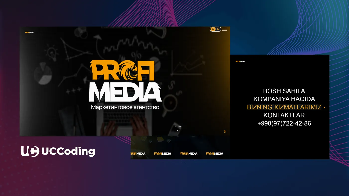 Profi Media